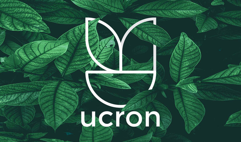 继续预测！2021年品牌 LOGO 设计流行趋势